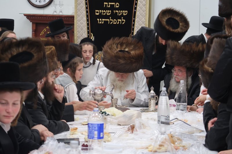 שימי פ.