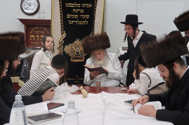 שימי פ.