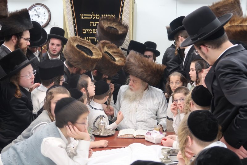 שימי פ.