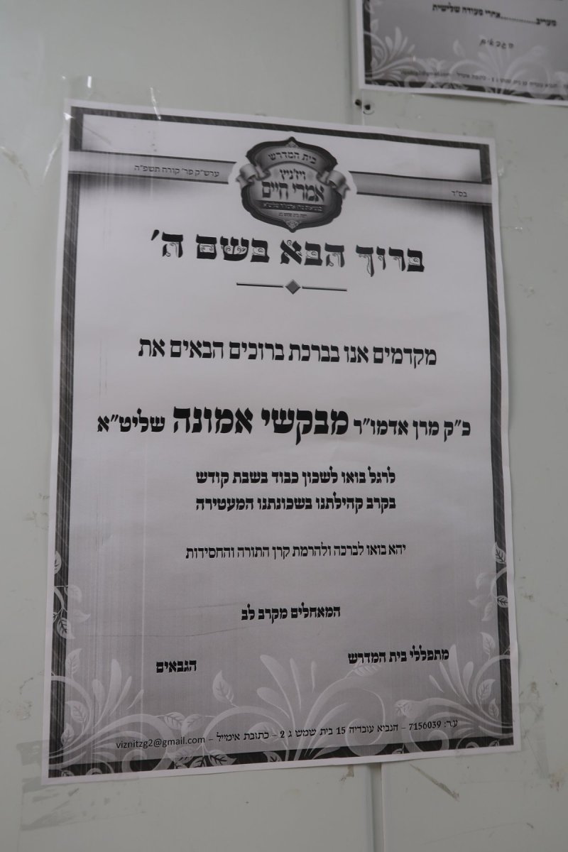 שימי פ.
