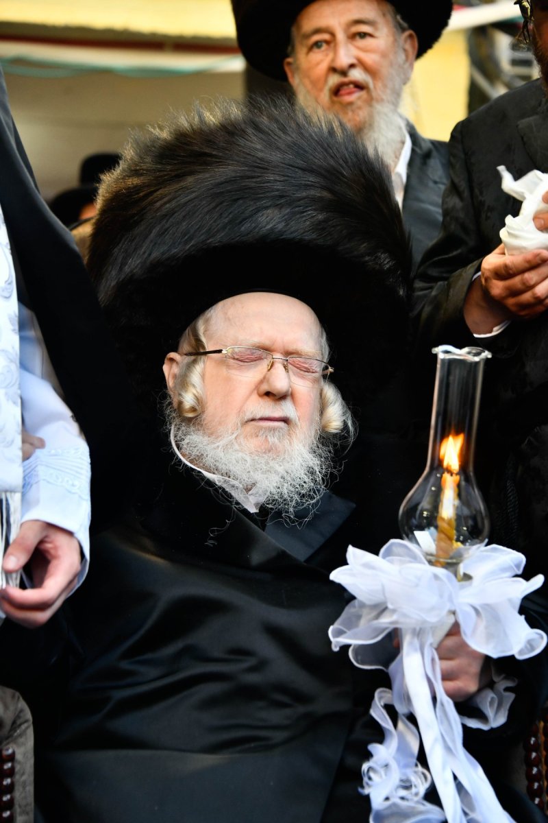 שוקי לרר