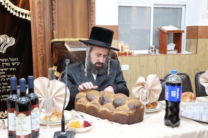 שלומי טריכטר