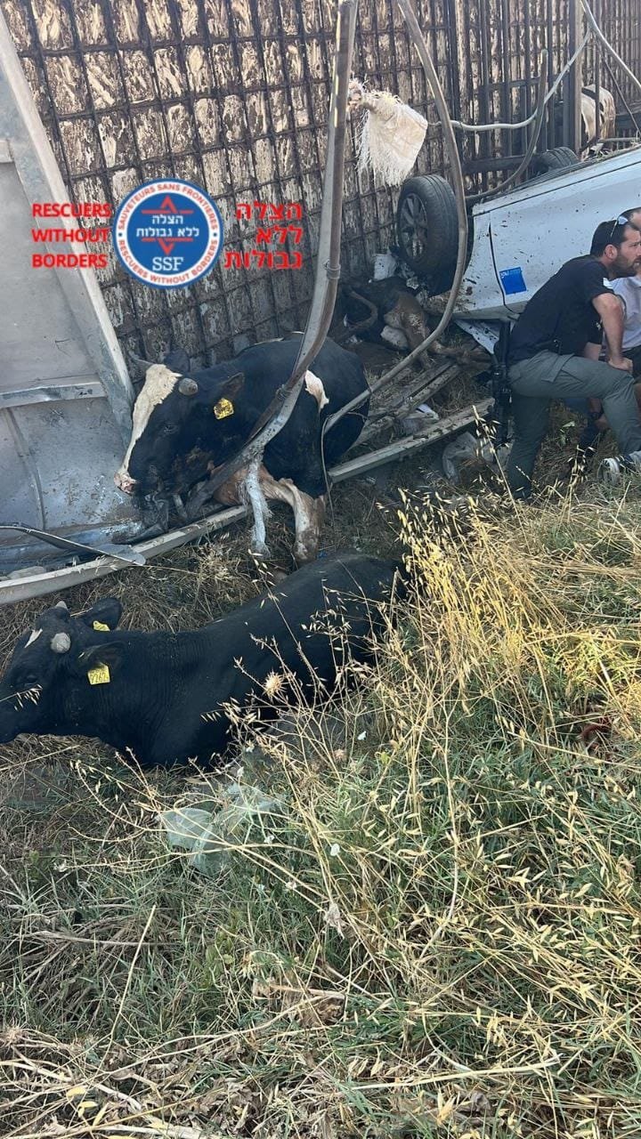 הצלה יו"ש ללא גבולות