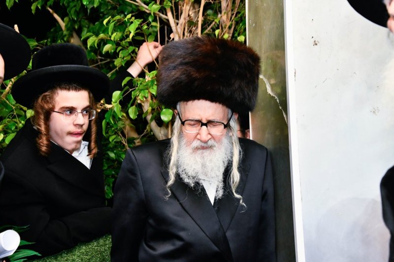 שוקי לרר
