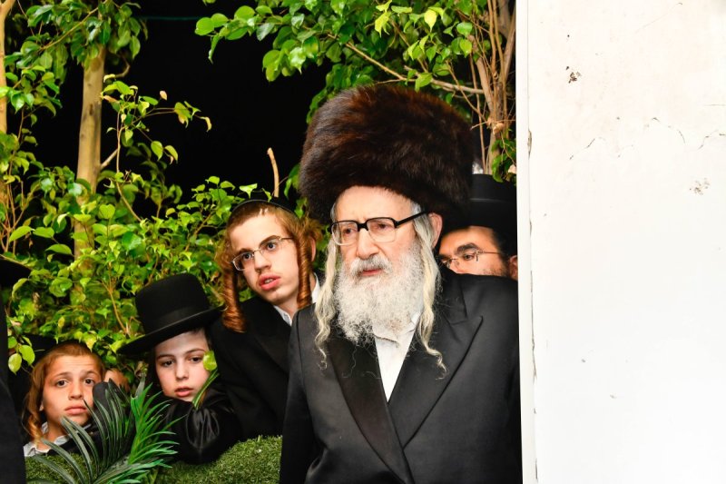 שוקי לרר