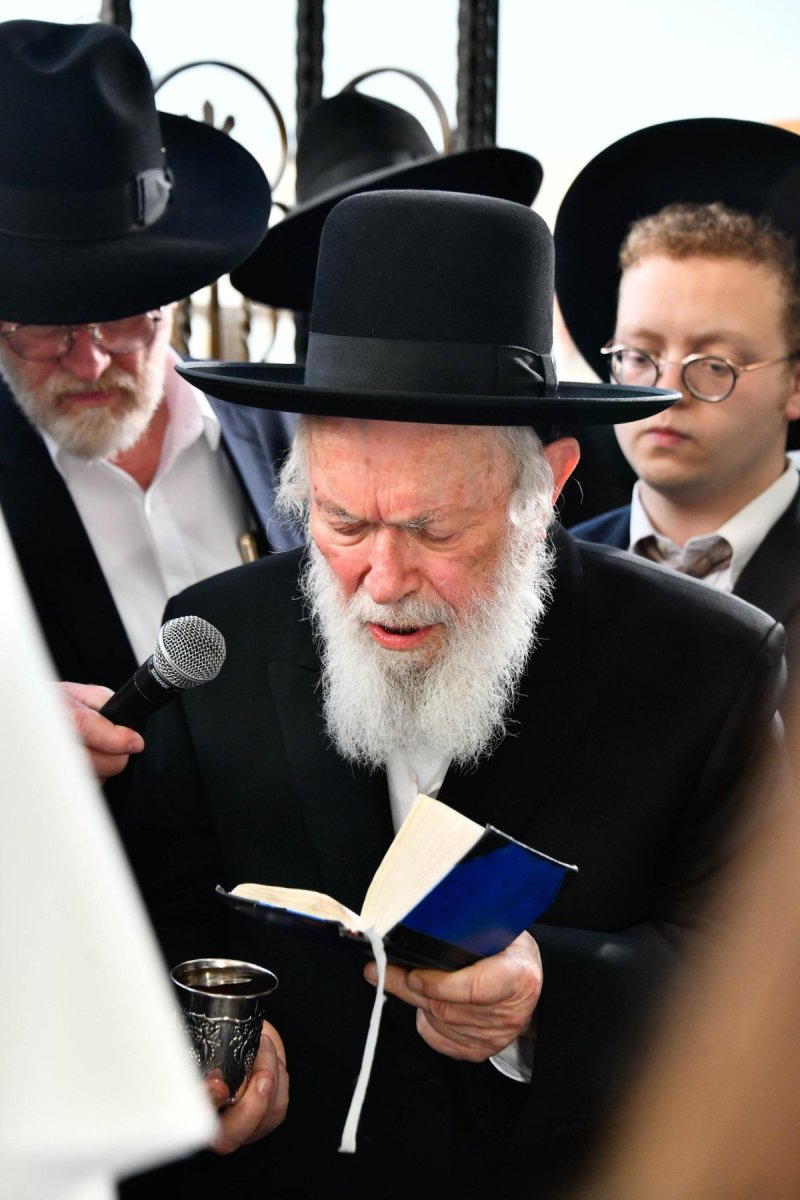 שוקי לרר