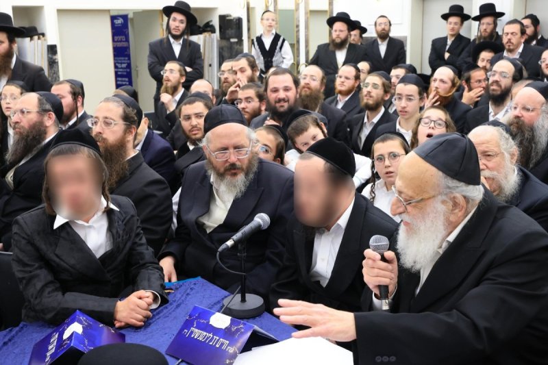 אלי קובין