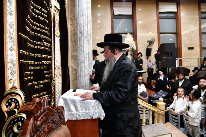 יוסי לוי