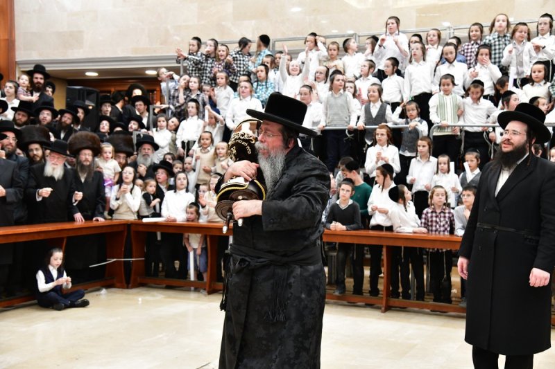 יוסי לוי