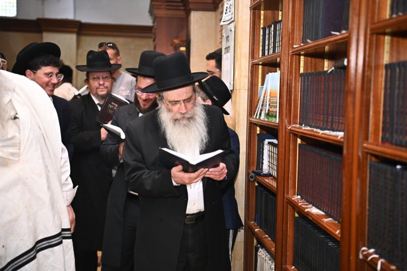 שוקי לרר