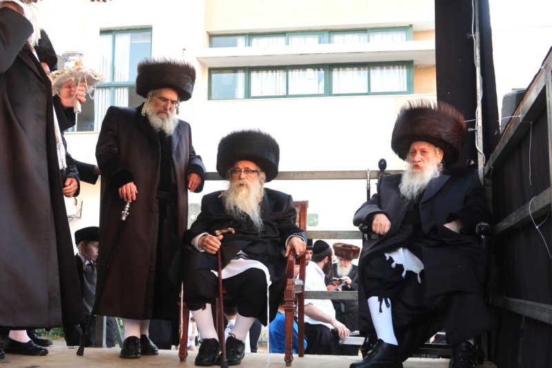 שימי פ.