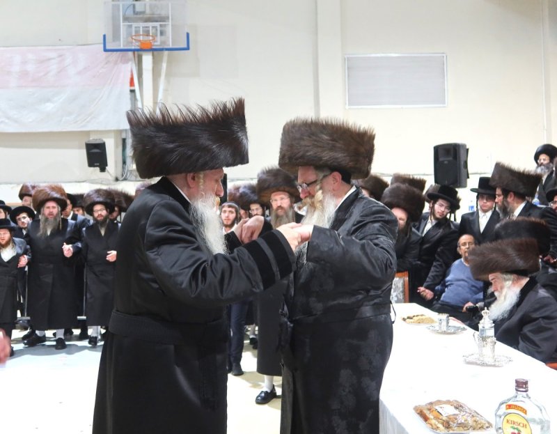 שימי פ.