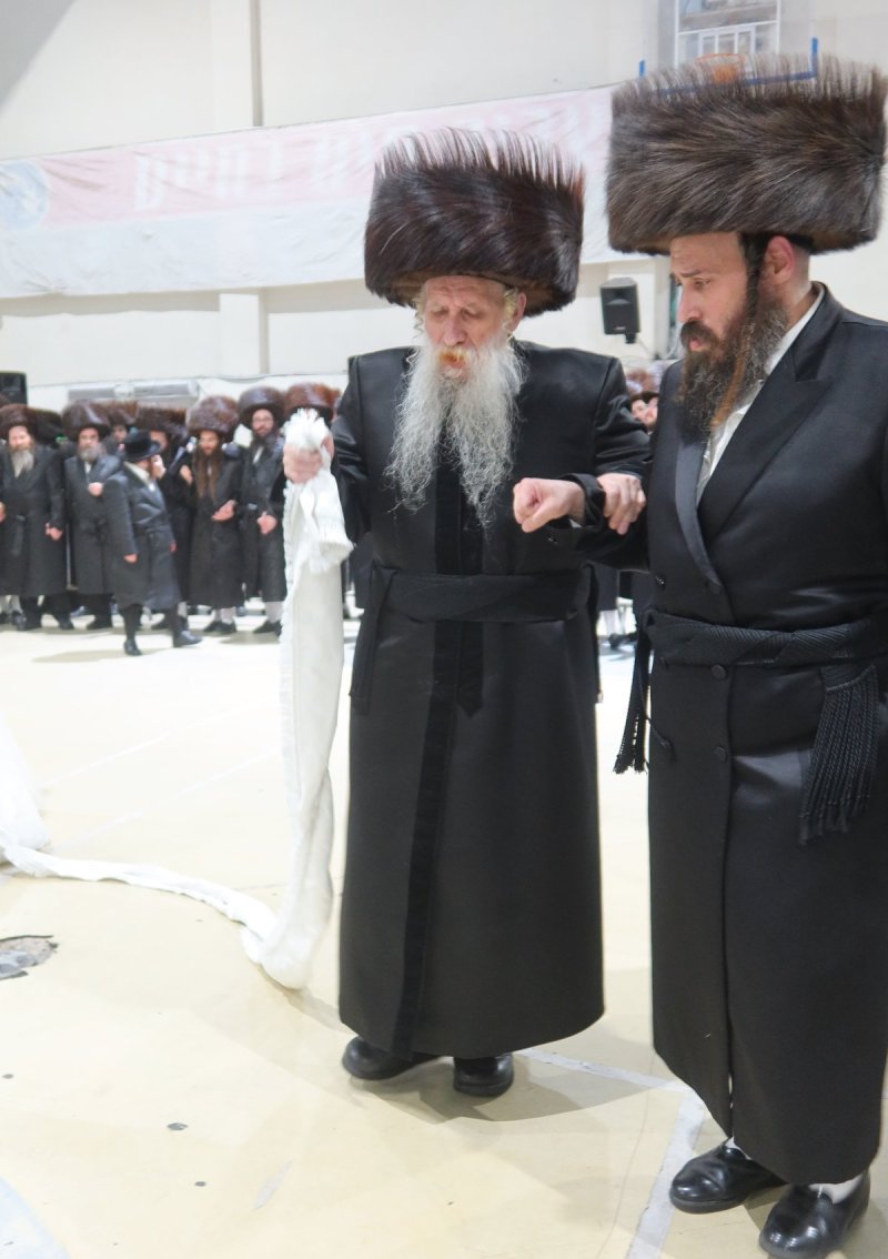 שימי פ.