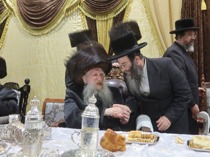 שימי פ.