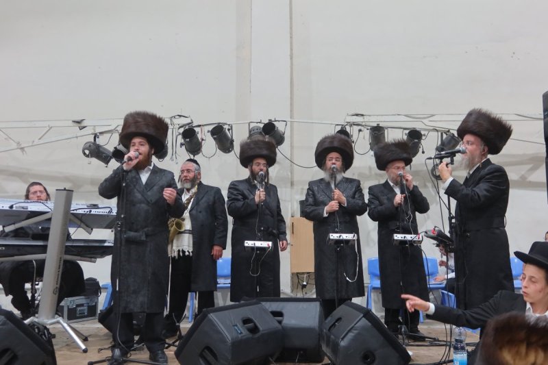 שימי פ.