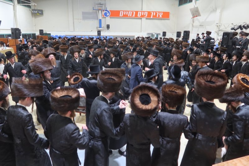שימי פ.