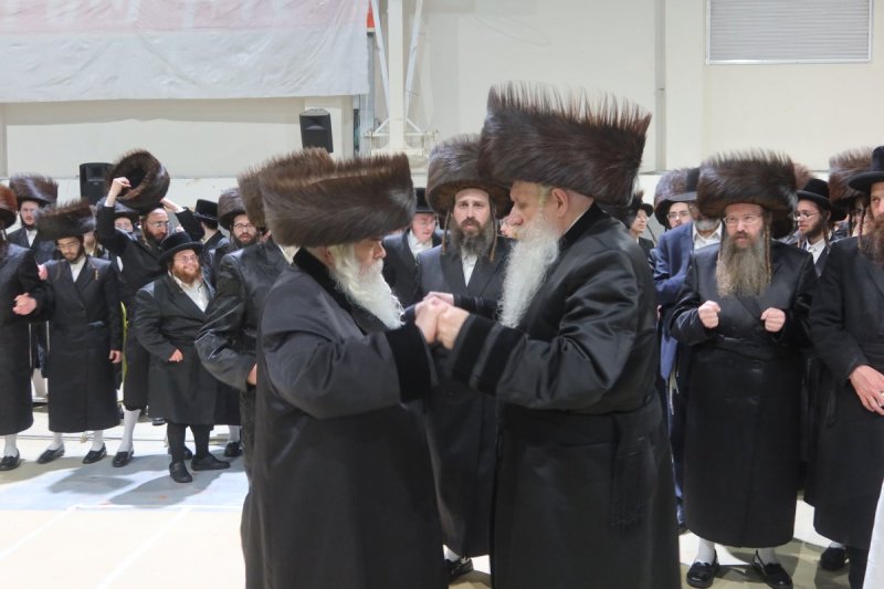 שימי פ.