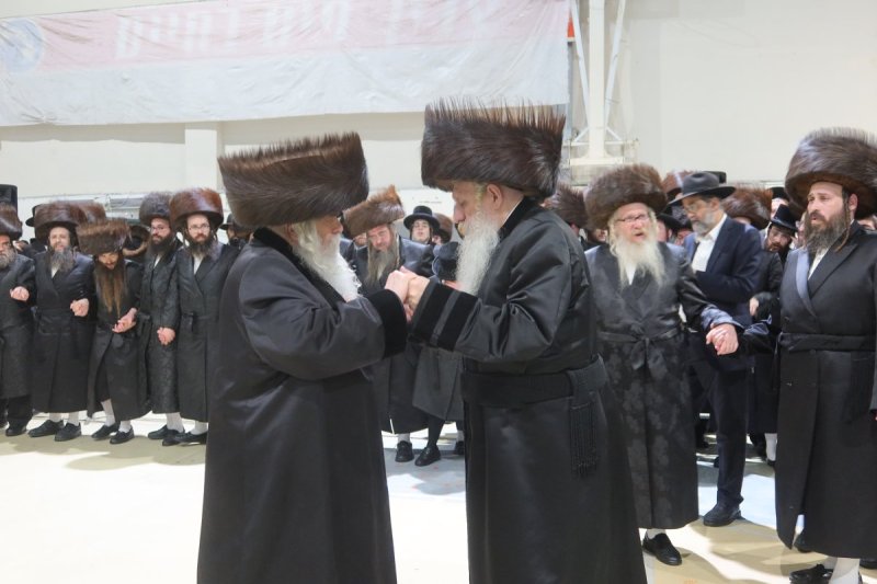 שימי פ.