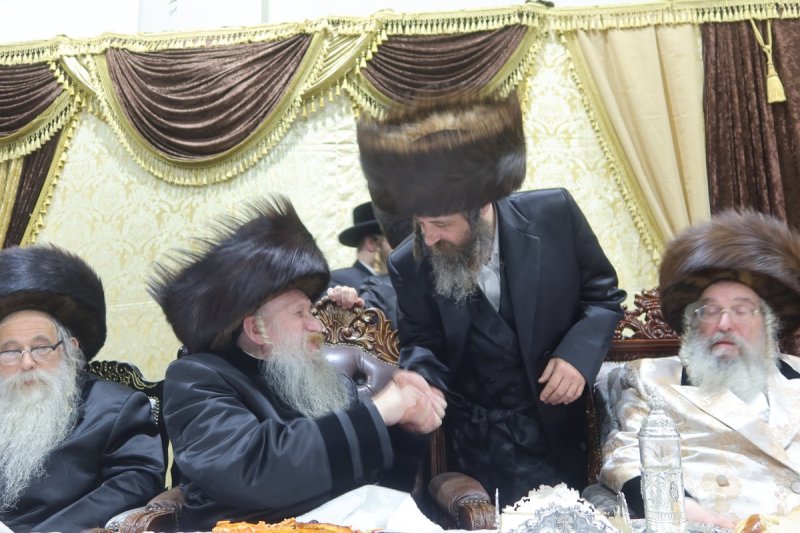 שימי פ.