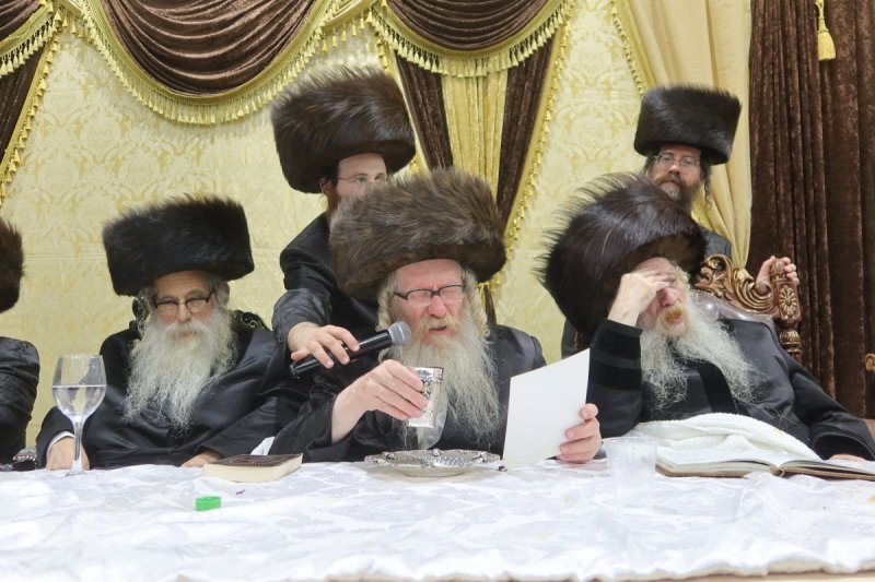 שימי פ.