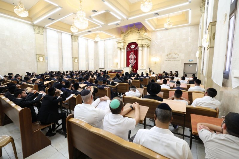 יעקב כהן