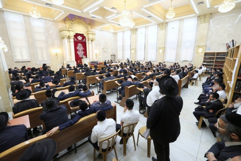 יעקב כהן