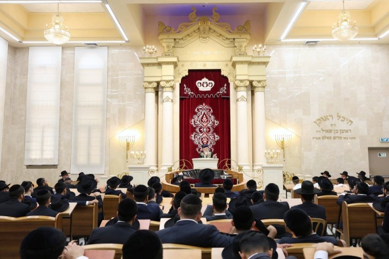 יעקב כהן