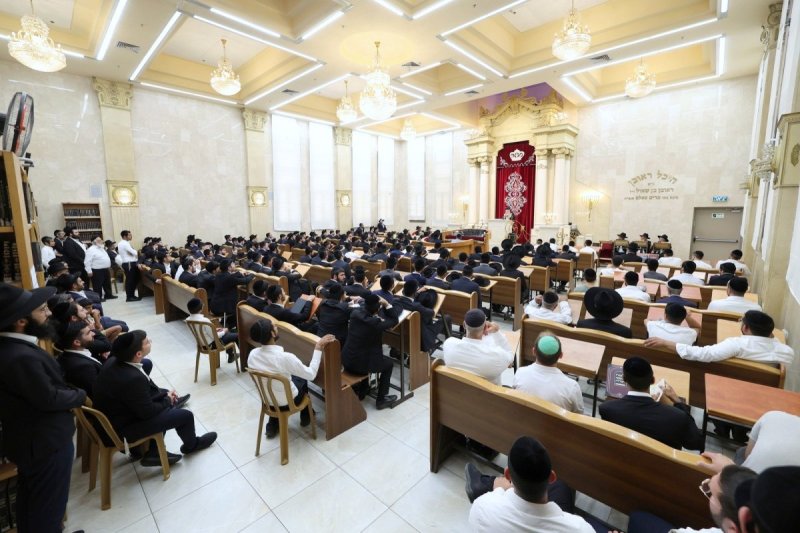 יעקב כהן