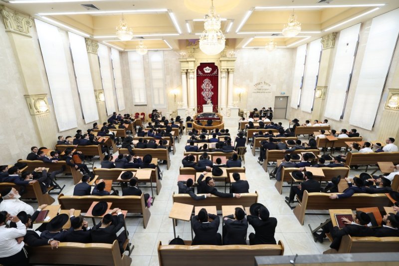 יעקב כהן