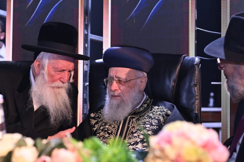 ליפא מוזר