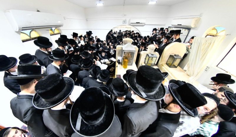 שוקי לרר