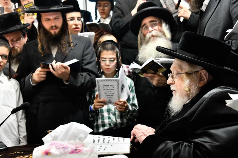 שוקי לרר