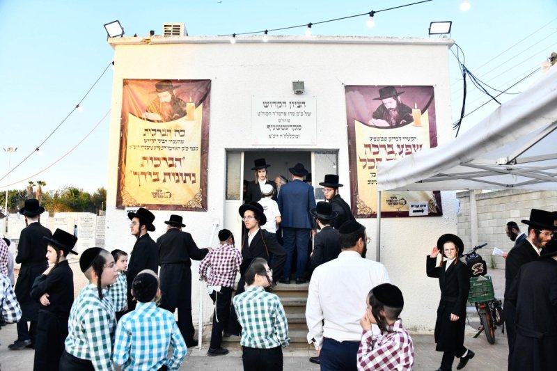 שוקי לרר