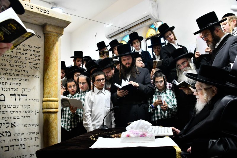שוקי לרר
