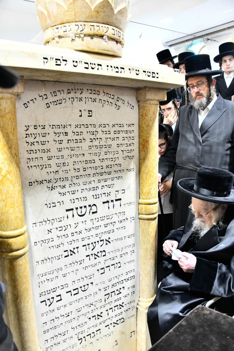 שוקי לרר