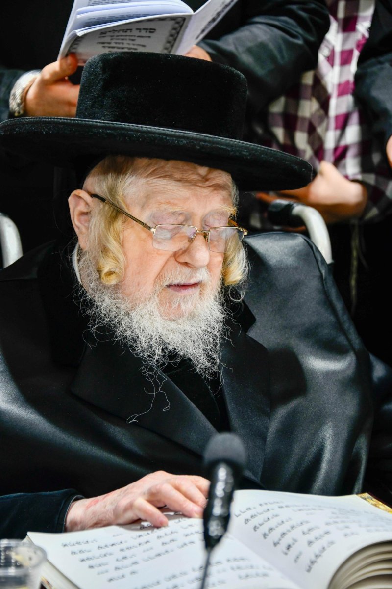 שוקי לרר
