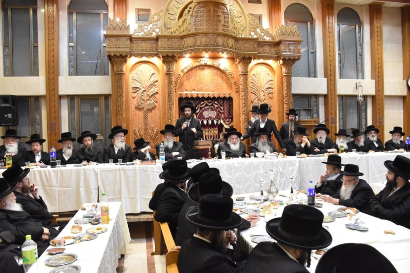 יהודה פרקוביץ