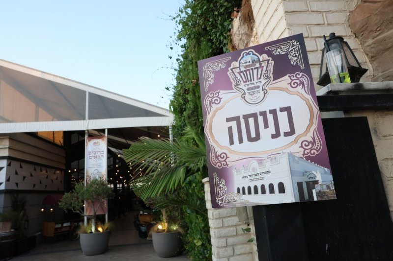 יעקב כהן