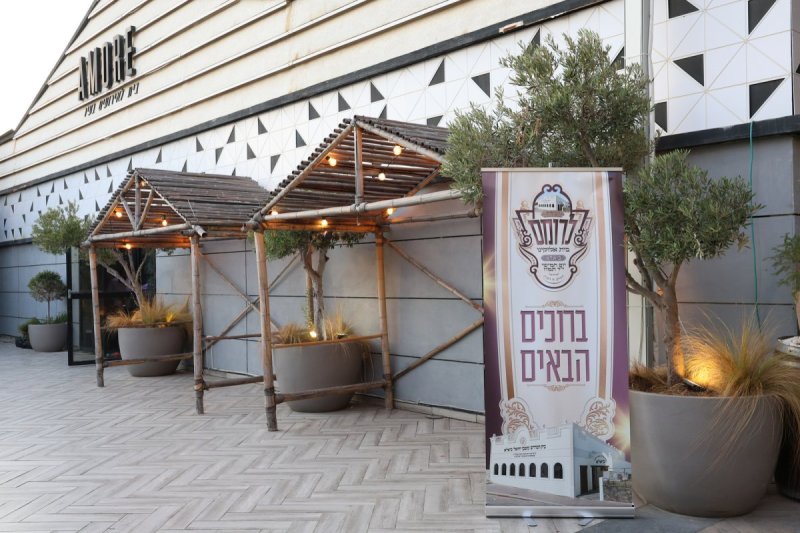 יעקב כהן