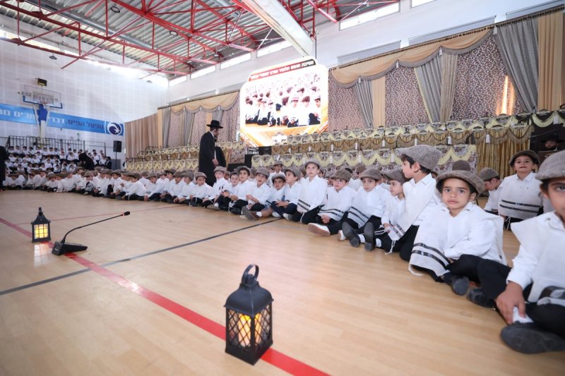 קובי הר צבי