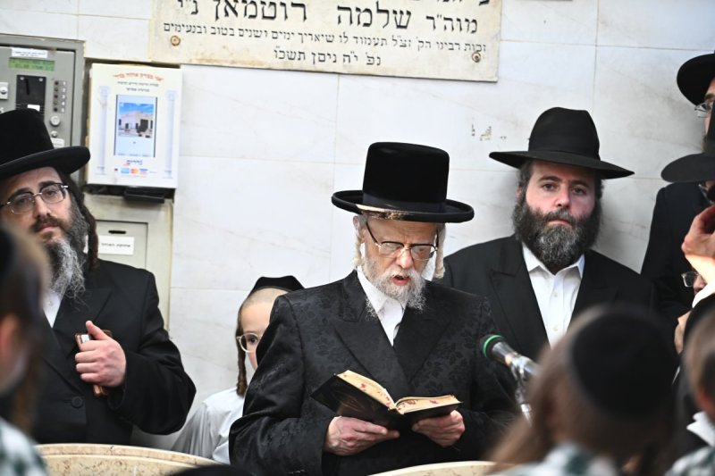 שוקי לרר