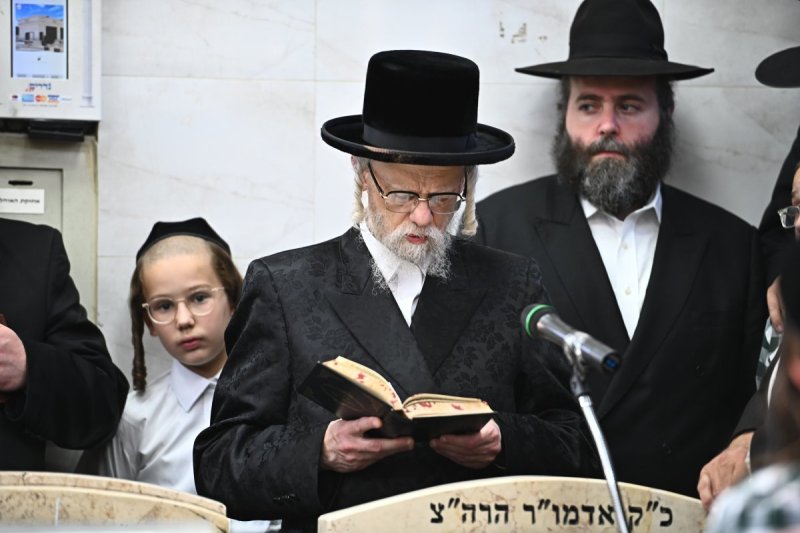 שוקי לרר