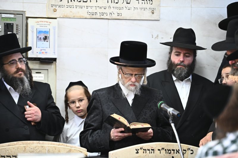 שוקי לרר