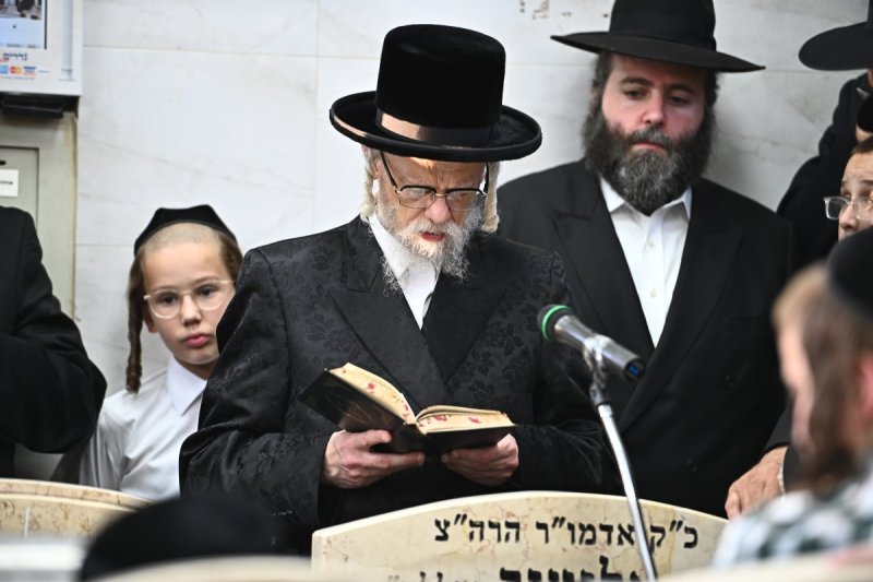 שוקי לרר