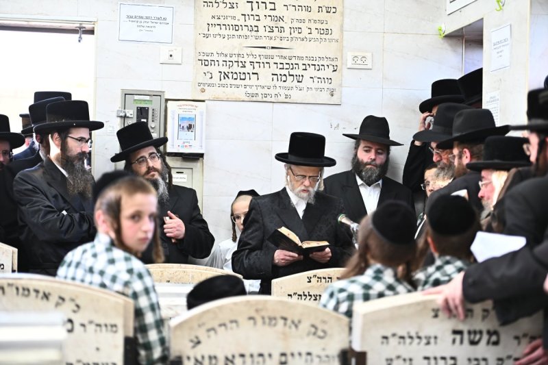 שוקי לרר