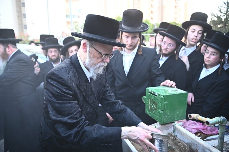 שוקי לרר