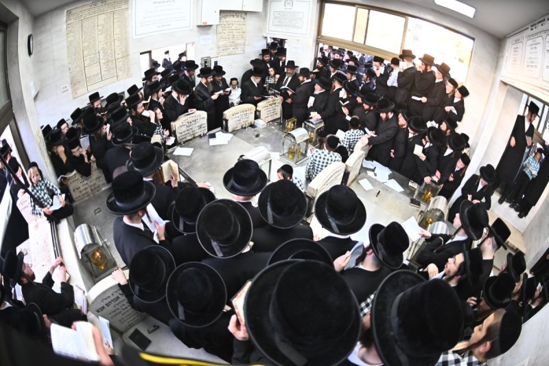 שוקי לרר