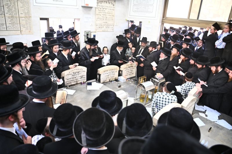 שוקי לרר