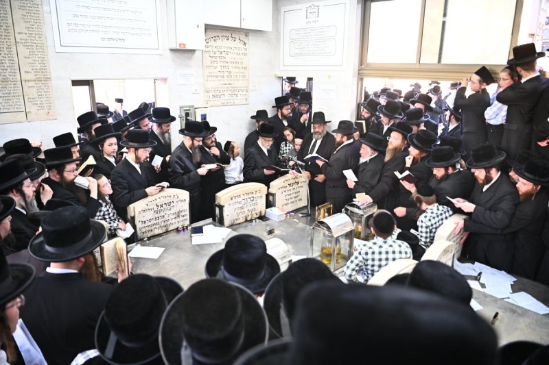 שוקי לרר
