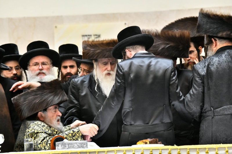 שוקי לרר